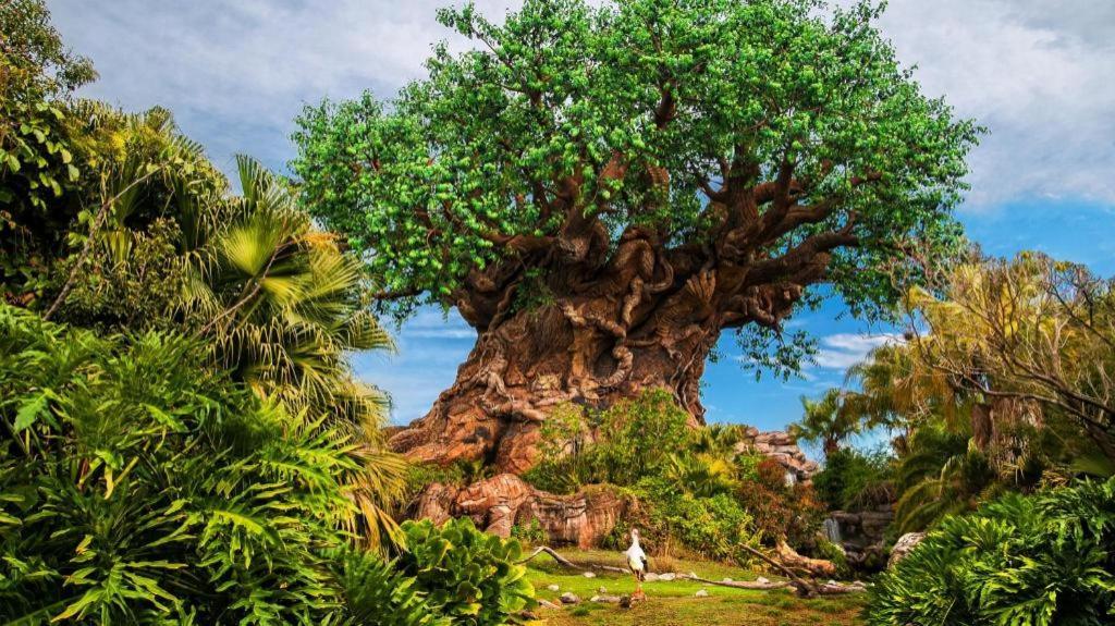 Disney'S Animal Kingdom Lodge Four Corners Экстерьер фото